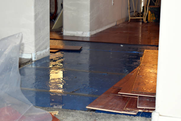 Professional Burst Pipe Cleanup technician working in Tahuya, WA